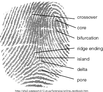 fingerprint